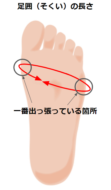 足囲の長さ